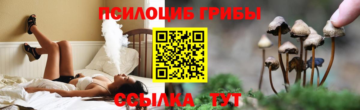 Галлюциногенные грибы прущие грибы  купить  сайты  Белебей  Вход с VPN  Галлюциногенные грибы прущие грибы 